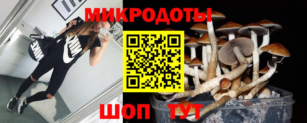 Псилоцибиновые грибы прущие грибы Химки