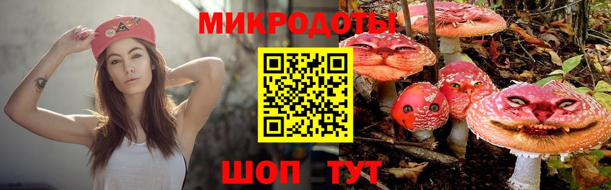 Химки  Галлюциногенные грибы Cubensis  что такое   Вход с VPN 