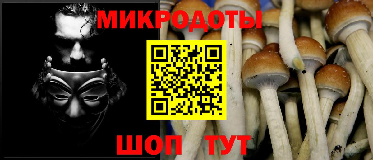 LSD-25 Химки